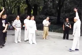 上海解兴邦大师高徒89岁老拳师张在生及弟子演练的心意六合拳视频封面