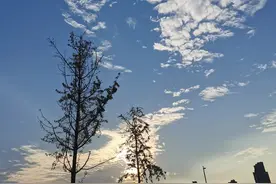 做优质股权的收藏者---长江电力图片
