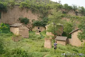 6旬农民大哥常年上山看护1棵怪树，有人说值8万，啥情况图片