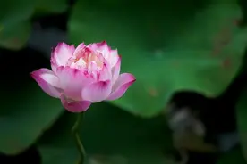 真正情商高的人，从来“不抬扛”图片