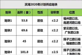 46中+师范附小双本部学区，滨湖炸出超牛黄金地图片