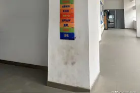 那些消失的摸高玩偶图片
