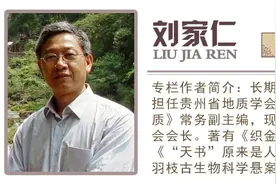 石头侃贵州｜像陶罐、似窗棱……这些千奇百怪的观赏石竟是同源图片