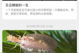 杭州小学生不停抓虫子回家，一不留神，“千足虫”爬进妈妈被子里…图片