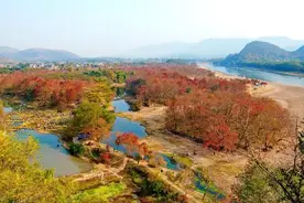 桂林市漓东田园综合体有新进展！以“广西第一全国一流”标准打造图片