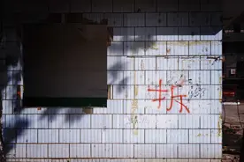 240万人围观他「拆家」，拆东西的快乐你想不到图片