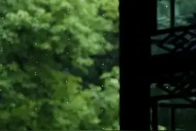 一川烟草，满城风絮，梅子黄时雨。一场场梅雨图片