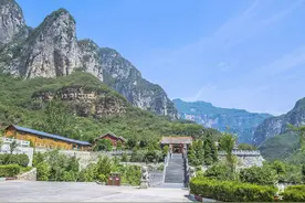 河南济源有一座中国猴山，风景优美，气候宜人，满山都是猕猴图片