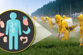 严重影响你身体健康的草甘膦，你可能每天都在吃！（上）图片