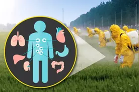 严重影响你身体健康的草甘膦，你可能每天都在吃！（上）图片