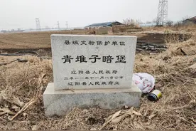 辽阳县兴隆镇青堆子暗堡，外观保存完好。日军侵华重要证据图片