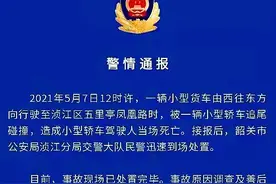特斯拉又出事了，广东一毛豆3高速直撞前面货车图片