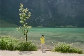 舒适的色调图片