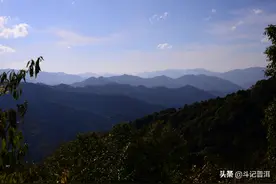 浅谈云南勐海古树普洱茶图片