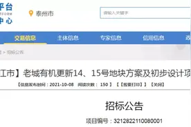 6.6万平方米！未来，靖江这片区域未来将打造成新景象图片