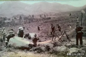 海南农垦农场回不去的记忆图片