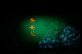 名家荟萃 新编经典 金陵首唱《帝女花》图片