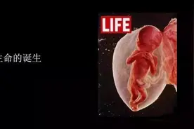 摄影师花了12年，用内置摄像头拍下胎儿成长全过程，组图令人感动图片