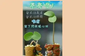 只要心中存有希望，风雨过后必是彩虹，祝你天天开心，顺心，早安图片
