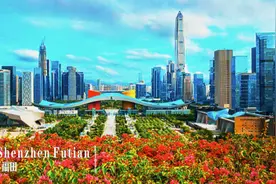 25-35万补助，诚聘123名全科医师！福田与你相约金秋9月图片
