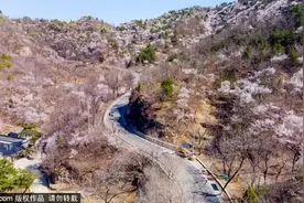 桃花娇艳，杏花如雪，北京这条梦幻公路刷屏了！图片