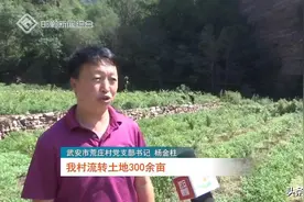 武安管陶乡：小辣椒映红致富路图片