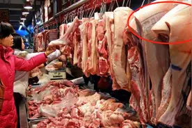 吃了这么多年猪肉，猪肉上蓝色的章到底是什么？看完恍然大悟视频封面