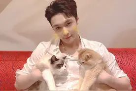 张艺兴与两只猫同框，猫的表情才是亮点图片