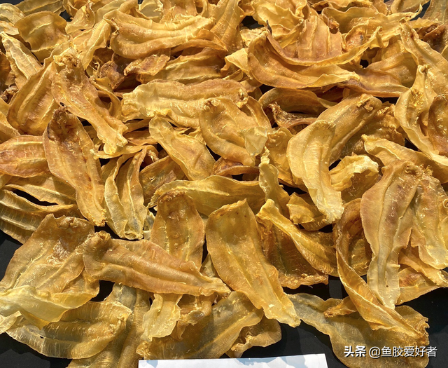 金兰赤嘴鱼胶的产地 2026年金兰赤嘴鱼胶的食用方法