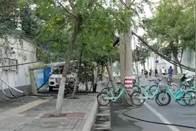 危险！郑州一路口电线杆断裂、电线垂落一地图片
