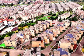 武汉蔡甸星光村村民家家住别墅（18图）图片