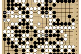 动图棋谱-第1届中日围棋擂台赛 聂卫平小胜小林光一图片