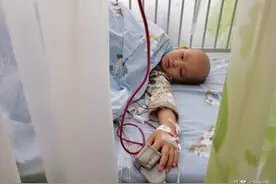 湖北6岁漂亮男童视频看到爸爸正在抽血，开心地笑了图片