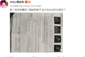 网红韩安冉半夜晒女儿检查单，猪妹“先天性心脏病”，她在线求助图片