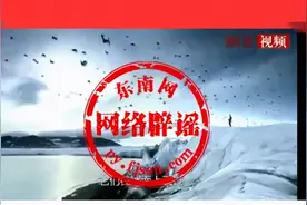 飞翔的企鹅成群掠过冰川？是真的吗？图片