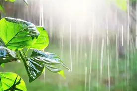 湿气重？在这两个部位拍一拍，湿邪拍出来图片