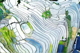 福建的朋友不用回避！我给外省的朋友介绍一下图片