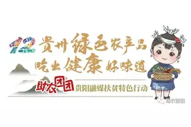 助农团团丨威宁苦荞面——健康美味，劲道爽滑，减肥者的首选食品图片
