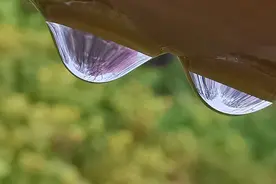 巧用手机相机超级微距模式，探索微观世界的美……图片