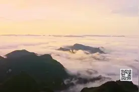 生态贵椒 香辣天下！贵州辣椒亮相央视图片