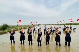 空姐空少身穿制服下地插秧是作秀？青岛航空回应了图片