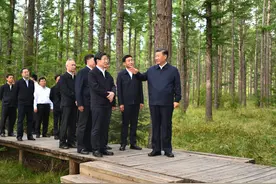 热解读｜从一棵树到一片“海”塞罕坝精神的“绿色接力”图片