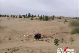 林草科普|中国库布其沙漠的10秒快速植树法图片