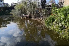 楚雄周边钓鱼场所分享，本地钓友关注我，每周都有更新哦。图片