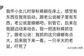 不怕死的老鼠有多大胆？爬进我的裤子里，被我当场解决图片
