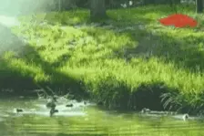 今日中国·青海丨我的小康生活——感受西宁生活圈图片