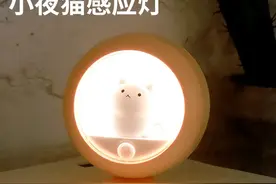 夜灯界的“启明星”，寿命长达十年，一年不到2度电，无惧黑夜图片