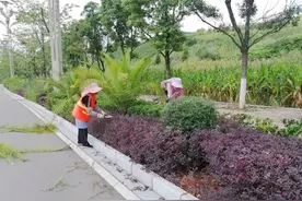 富源占道经营、违法搭建等问题，纳入建议提案后，给办了图片