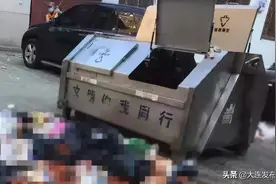 500元！沙区首张罚单图片