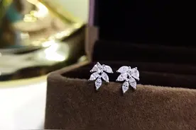 珠宝欣赏---水滴钻石叶子耳钉图片